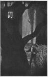 Frontispiece - thumbnail - When the woman raised her arms in a peculiar fashion, the shadow
on the blind was remarkably like that of a bat