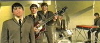 The Animals