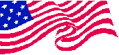 USA Flag