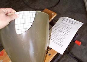 finsh176.jpg (17085 bytes)