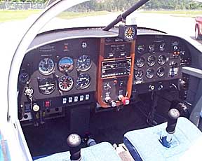 pflanzer96.jpg (25365 bytes)