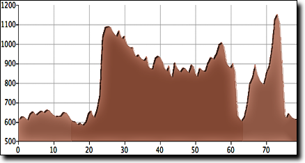 Covered Bridge 78 route elevation profile