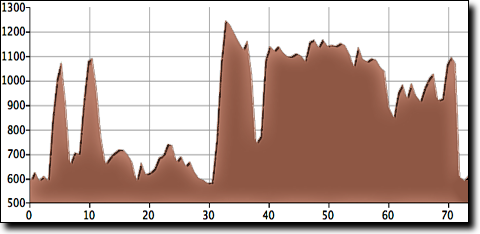 Guntersville Visitors Center 73 ride elevation profile