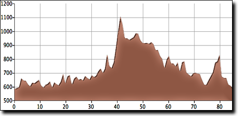 Paint Rock 84 ride elevation profile