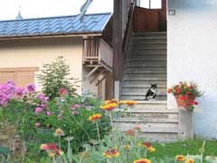 IMG_0138.JPG