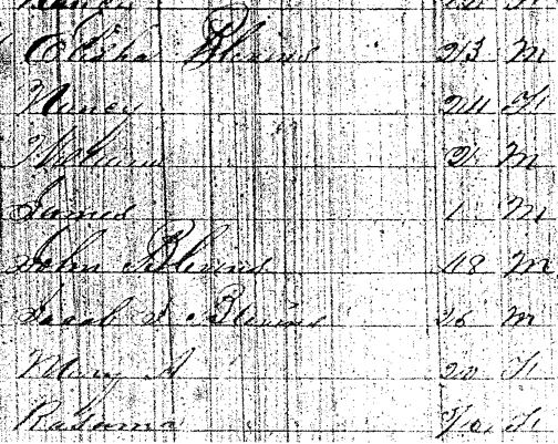 1850 Federal Census, Morgan County