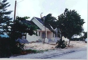 home01-dec-jan1999.JPG
