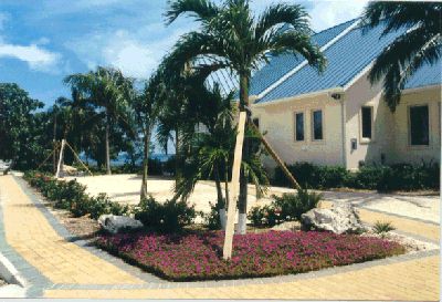 home01-july1999.JPG
