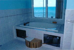 home08-march1999.JPG