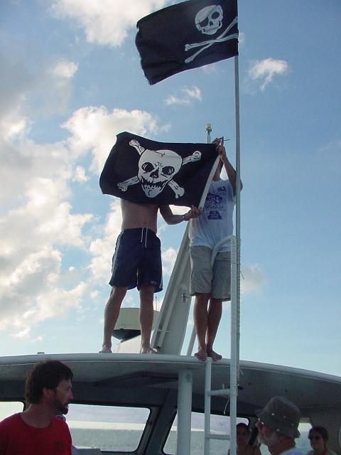 harbour-wars-200222.JPG