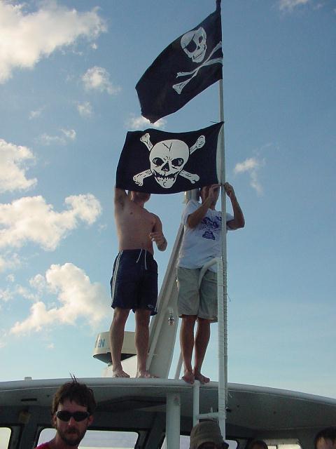 harbour-wars-200223.JPG