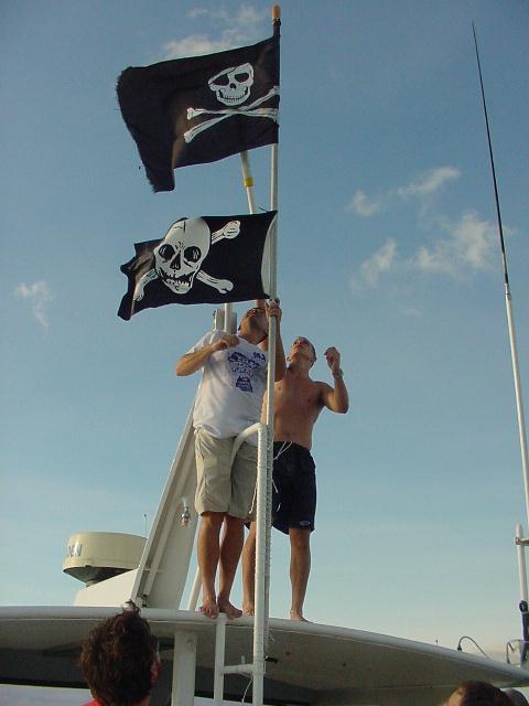 harbour-wars-200224.JPG