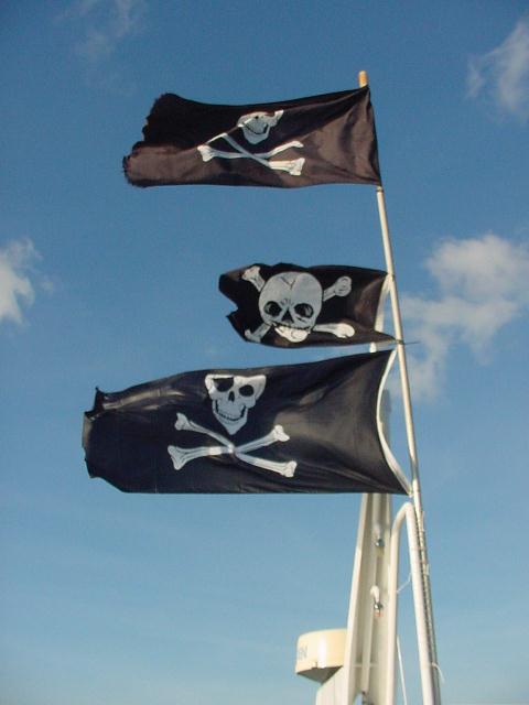 harbour-wars-200233.JPG