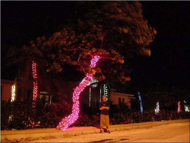 Christmas_home03.JPG