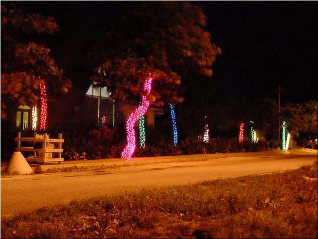 Christmas_home04.JPG