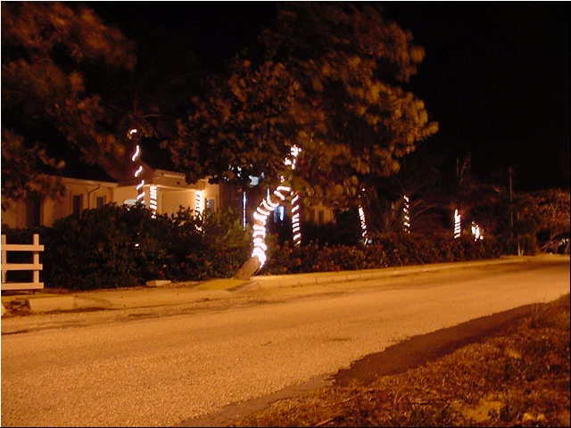 Christmas_home06.JPG