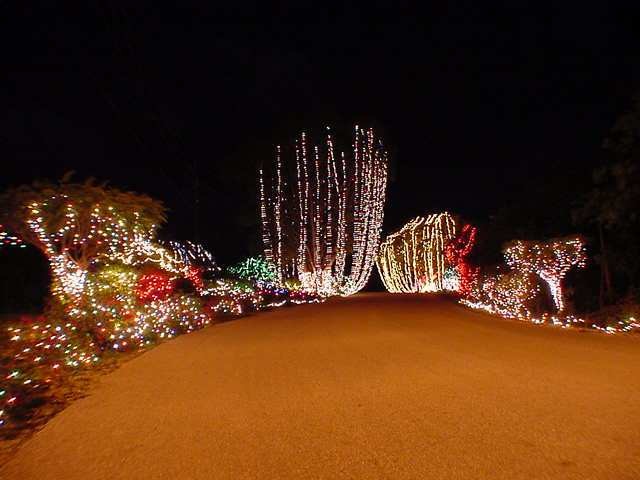Christmas_other01.JPG