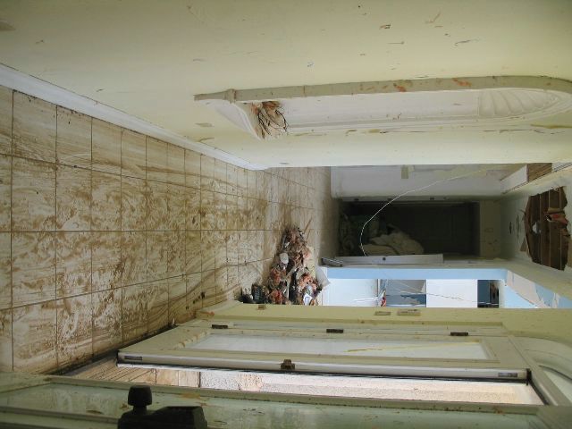 CaymanChillin-cleanup02.JPG