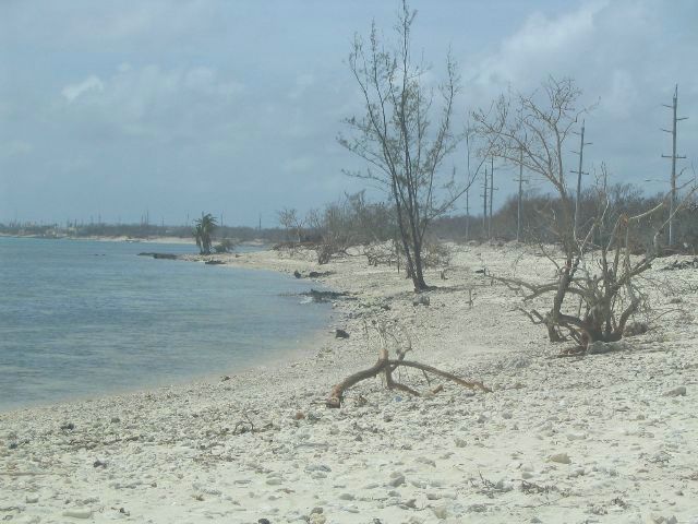 eastend10.JPG