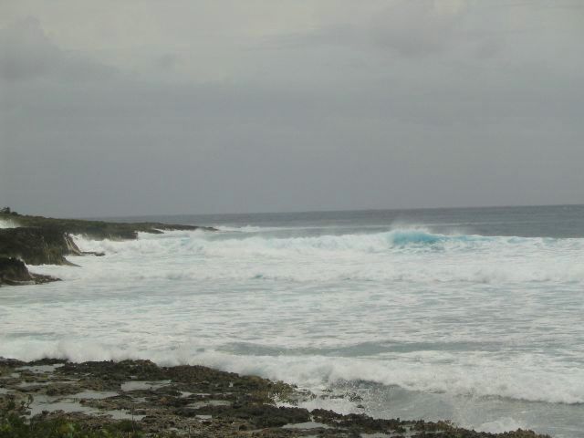 half-moon-bay03.JPG