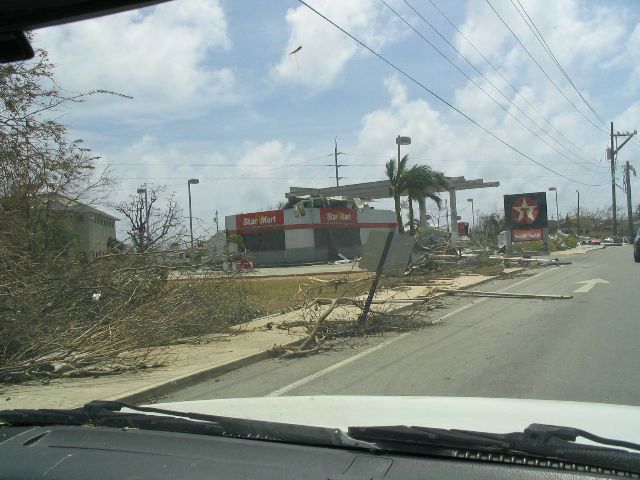 savannah01.JPG