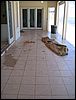 CaymanChillin-cleanup05.JPG