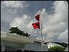 hurricane flag.JPG