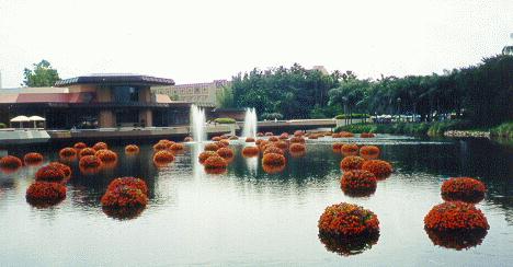 Floating Gardens