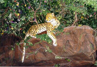 Rainforest Cheetah