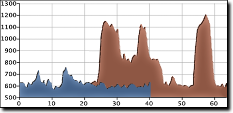 Cotaco elevation profile with 40