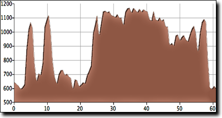 Guntersville Visitors Center 60 ride elevation profile