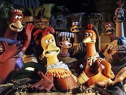 Rocky the rooster (Mel Gibson, front center) is the center of attention in the hen house in the clay animation comedy/adventure, ''Chicken Run.''