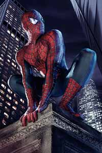 Tobey Maguire stars in Sam Raimi's big-screen adaptation of ''Spider-Man.''