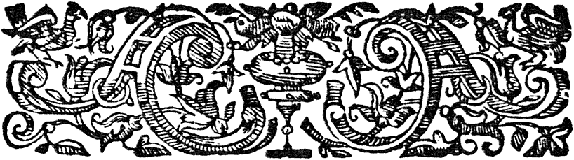 Vase with Birds 5