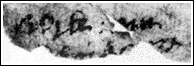 Shakspere's 1st signature
