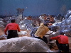Landing party attacked by male aliens