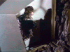 A 3rd specimen