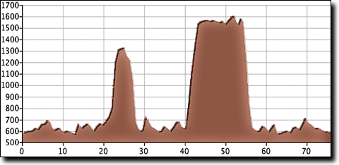 Grant-Nat connections elevation profile