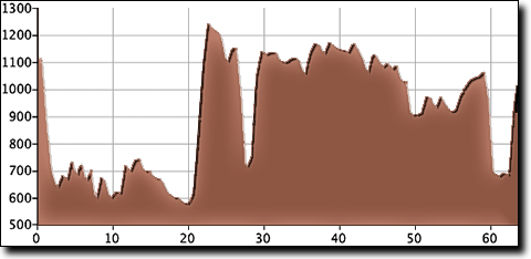 Guntersville metric elevation profile