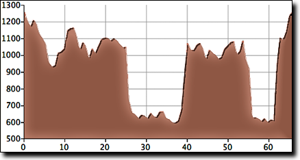 IROC route elevation profile