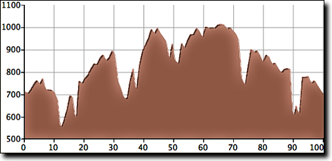 Salem Backroads route elevation profile